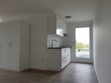 Wohnung zur Miete 491 € 1 Zimmer 49,1 m² 4. Geschoss Südvorstadt-Ost (Ackermannstr.) Dresden 01219