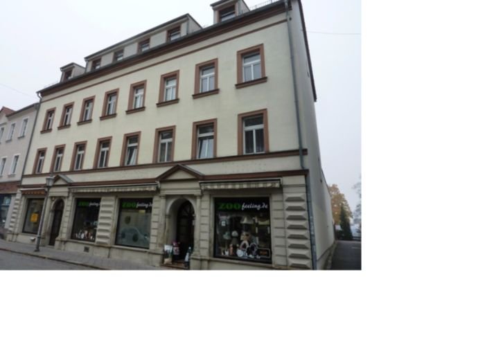 Mehrfamilienhaus zum Kauf 265.000 € 407 m²<br/>Wohnfläche 520 m²<br/>Grundstück Chemnitzer Str. 7 Leisnig Leisnig 04703