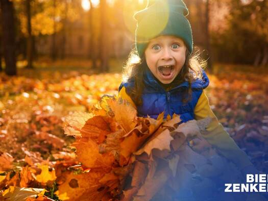 Freizeitgrundstück zum Kauf 330.000 € 782 m² Grundstück Gabelbach Zusmarshausen 86441