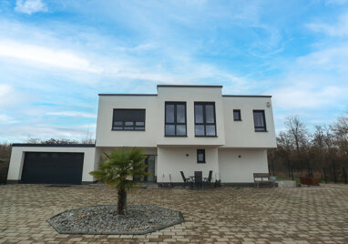 Villa zum Kauf 1.590.000 € 6 Zimmer 220 m² 2.500 m² Grundstück Altrip 67122