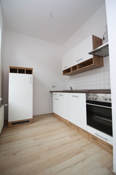 Apartment zur Miete 252 € 2 Zimmer 46 m² frei ab 01.09.2024 Reißiger Vorstadt Plauen 08525