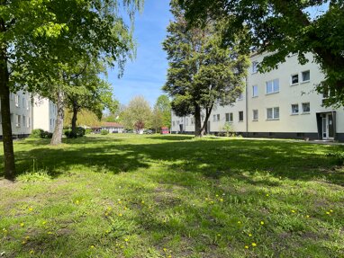 Wohnung zur Miete 330 € 2 Zimmer 50,6 m² Erdgeschoss Erle Gelsenkirchen 45891