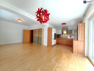 Wohnung zur Miete 1.453,30 € 3 Zimmer 96,2 m² Erdgeschoss frei ab sofort Schiffmühlenstraße Wien 1220