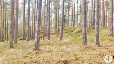 Land-/Forstwirtschaft zum Kauf 20.530 € 36.776 m² Grundstück Rappottenstein 3911