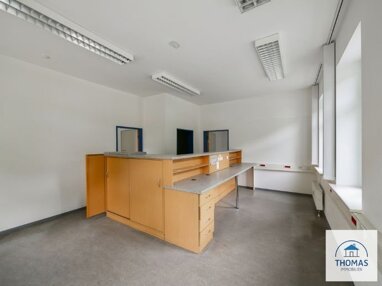Bürofläche zur Miete 1.296 € 162 m² Bürofläche Sebnitz Sebnitz 01855