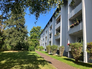Wohnung zum Kauf 65.000 € 3 Zimmer 58 m² Erdgeschoss Zentrum 013 Chemnitz 09111