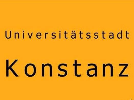 Mehrfamilienhaus zum Kauf 33 Zimmer 750 m² 1.474 m² Grundstück Fürstenberg Konstanz 78467