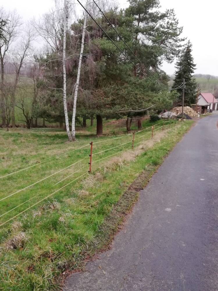 Immobilie in Mügeln - Ihr Traumhaus in Sornzig/Lichteneichen – Jetzt mit ScanHaus planen! - Bild 3
