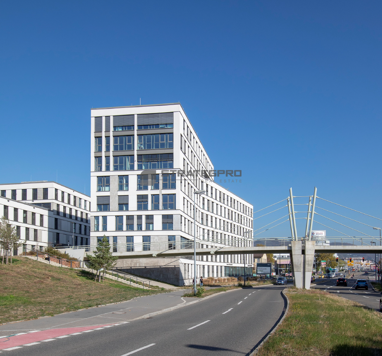 Bürofläche zur Miete Provisionsfrei 6.630 m² Bürofläche teilbar ab 6.630 m² Langer Anger 3+5 Pfaffengrund - Süd Heidelberg 69115