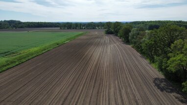 Land-/Forstwirtschaft zum Kauf Provisionsfrei 465.000 € 38.816 m² Grundstück Fladderlohausen Holdorf 49451