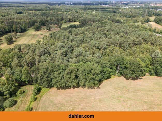 Land-/Forstwirtschaft zum Kauf 50.000 € 4.876 m² Grundstück Gifhorn 38518