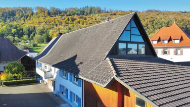 Bauernhaus zum Kauf 10 Zimmer 263 m² 1.535 m² Grundstück Herten Rheinfelden (Baden) 79618