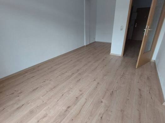 Wohnung zur Miete 240 € 1 Zimmer 39,7 m² 1. Geschoss frei ab sofort Egerstraße 124 Oelsnitz 08606