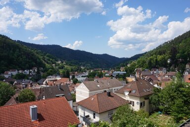 Wohnung zur Miete 450 € 3 Zimmer 64 m² 2. Geschoss frei ab sofort Bauernhofweg 12 Schramberg Schramberg 78713