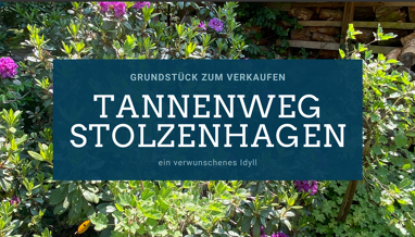 Grundstück zum Kauf Provisionsfrei 345.000 € 1.105 m² Grundstück Tannenweg 16 Stolzenhagen Wandlitz 16348
