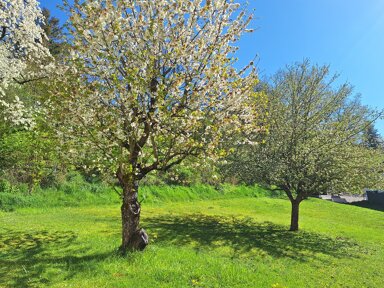 Grundstück zum Kauf 140.000 € 893 m² Grundstück frei ab sofort Creidlitz Coburg 96450