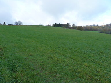 Landwirtschaftliche Fläche zum Kauf 24.900 € 7.036 m² 7.036 m² Grundstück Hecke Waldbröl 51545