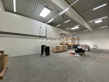 Halle/Industriefläche zur Miete 7 € 500 m² Lagerfläche Tiefenbroich Ratingen 40880