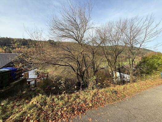 Grundstück zum Kauf 90.000 € 615 m² Grundstück Schönau 69250