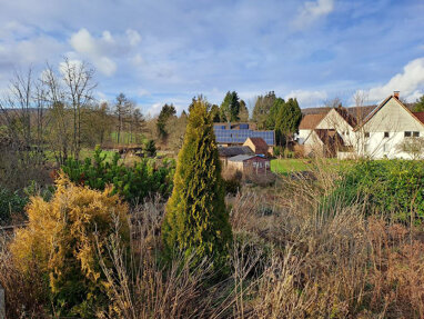 Grundstück zum Kauf 30.000 € 1.020 m² Grundstück Rischenau Lügde 32676