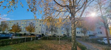 Wohnung zur Miete 465 € 3 Zimmer 59 m² frei ab 01.03.2025 Am Volkskulturpark 26 Pasewalk Pasewalk 17309