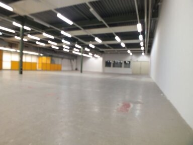 Lagerhalle zur Miete 3.950 € 850 m² Lagerfläche Gewerbestr. 10 Gottmadingen Gottmadingen 78244