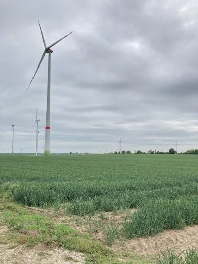 Landwirtschaftliche Fläche zum Kauf 113.368 m² Grundstück Obernessa Teuchern 06682