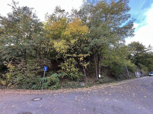 Grundstück zum Kauf 87.500 € 972 m² Grundstück Niederkirchen 67700