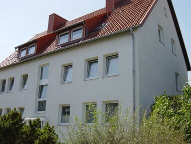 Wohnung zur Miete 406 € 3 Zimmer 57,9 m² Erdgeschoss Worthweg 14 Sudheim Sudheim 37154