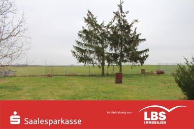 Grundstück zum Kauf 95.000 € 1.314 m² Grundstück Goddula Bad Dürrenberg 06231