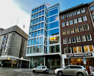 Bürofläche zur Miete Provisionsfrei 23 € 451 m² Bürofläche Hamburg - Altstadt Hamburg 20095