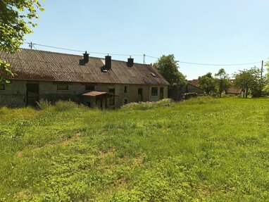 Bauernhaus zum Kauf Provisionsfrei 238.000 € 7 Zimmer 135 m² 1.300 m² Grundstück Eckfeld 54531
