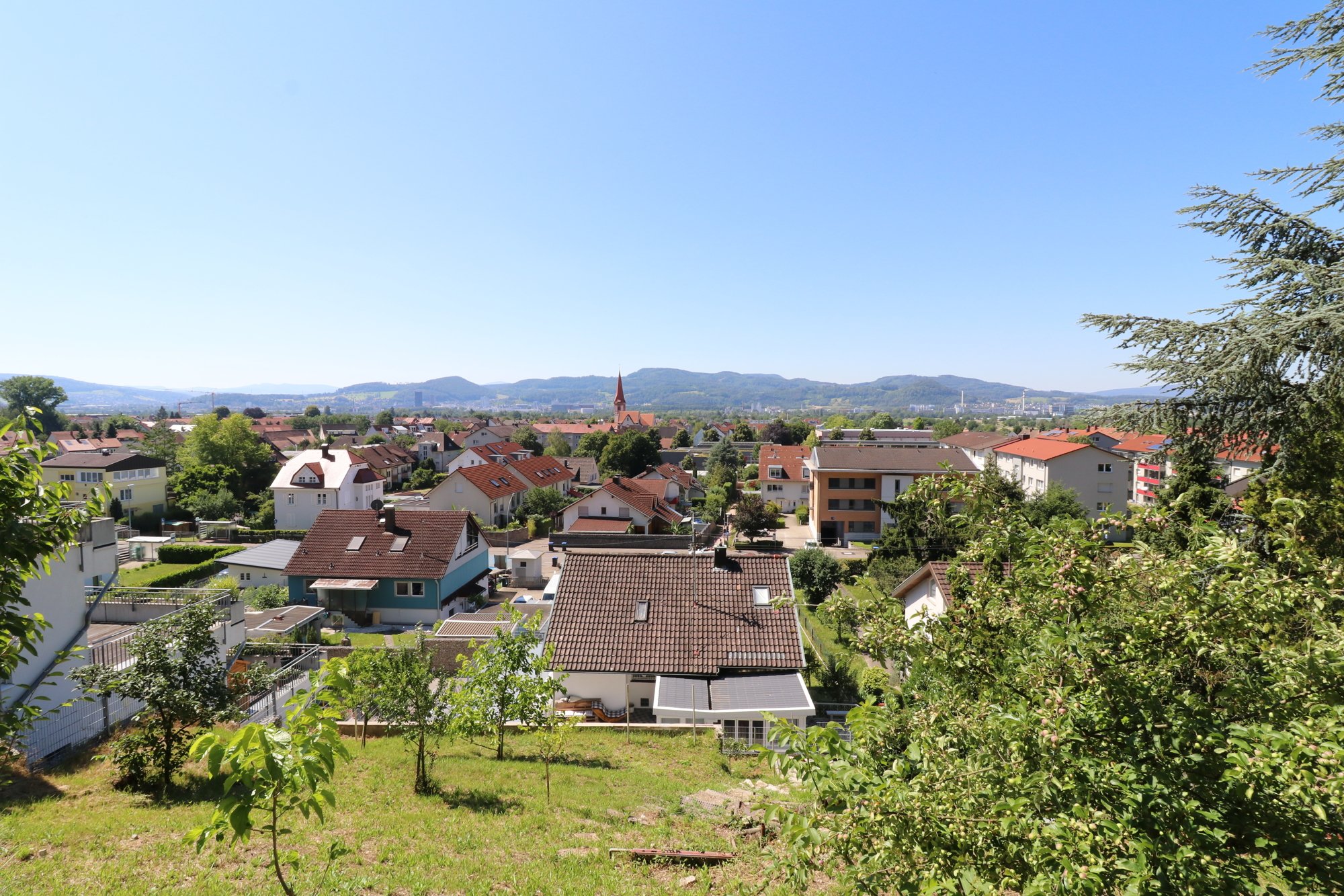 Grundstück zum Kauf 290.000 € 2.600 m² Grundstück Wyhlen Grenzach-Wyhlen 79639