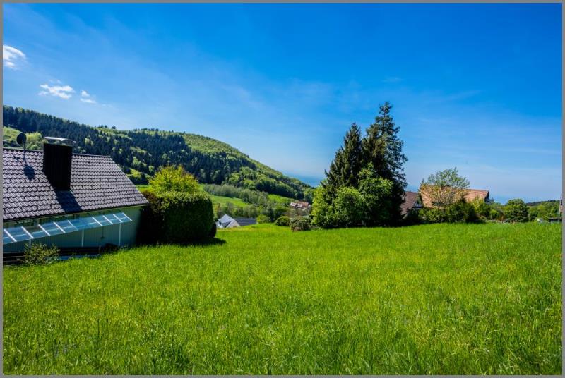 Grundstück zum Kauf 169.000 € 1.288 m²<br/>Grundstück Sasbachwalden 77887