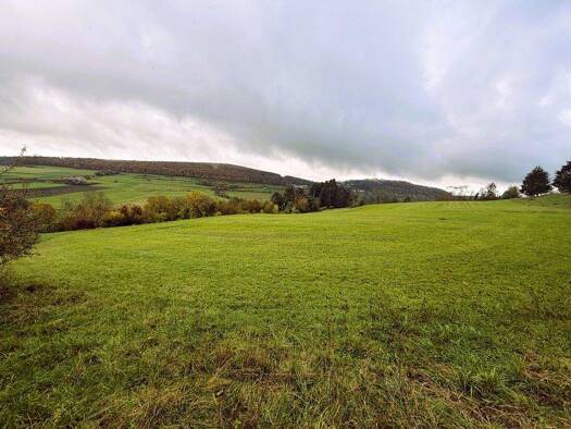 Gewerbegrundstück zum Kauf 14.878 € 2.705 m² Grundstück Oberhochstatt Weißenburg Oberhochstatt 91781