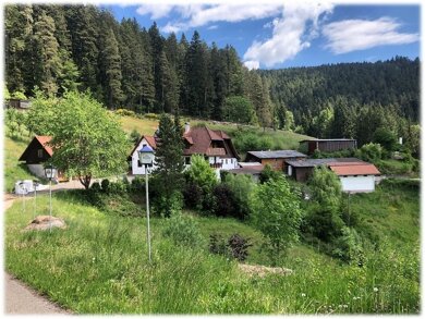 Bauernhaus zum Kauf 1.349.900 € 11 Zimmer 325 m² 28.698 m² Grundstück Schiltach Schiltach-Lehengericht 77761