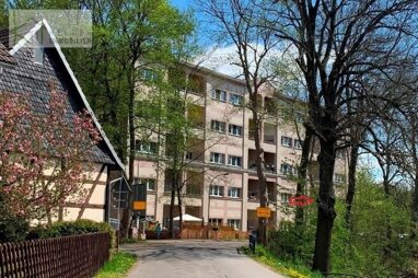 Wohnung zur Miete 275 € 1 Zimmer 55 m² 2. Geschoss Grünanger 32 Werdau Werdau 08412