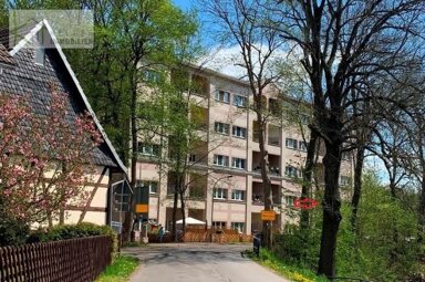 Wohnung zur Miete 275 € 1 Zimmer 55 m² 1. Geschoss frei ab sofort Grünanger 32 Werdau Werdau 08412