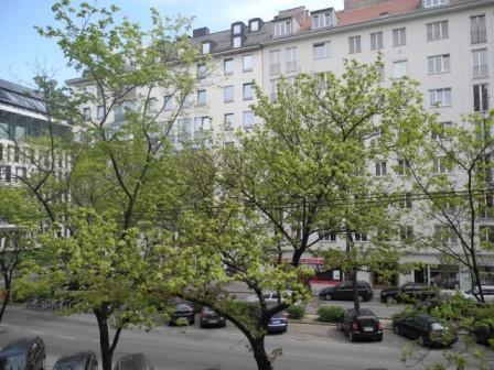 Wohnung zur Miete 3.199,10 € 5 Zimmer 169,1 m²<br/>Wohnfläche Wien 1090