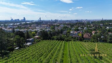 Grundstück zum Kauf 2.900.000 € 981 m² Grundstück Wien 1190