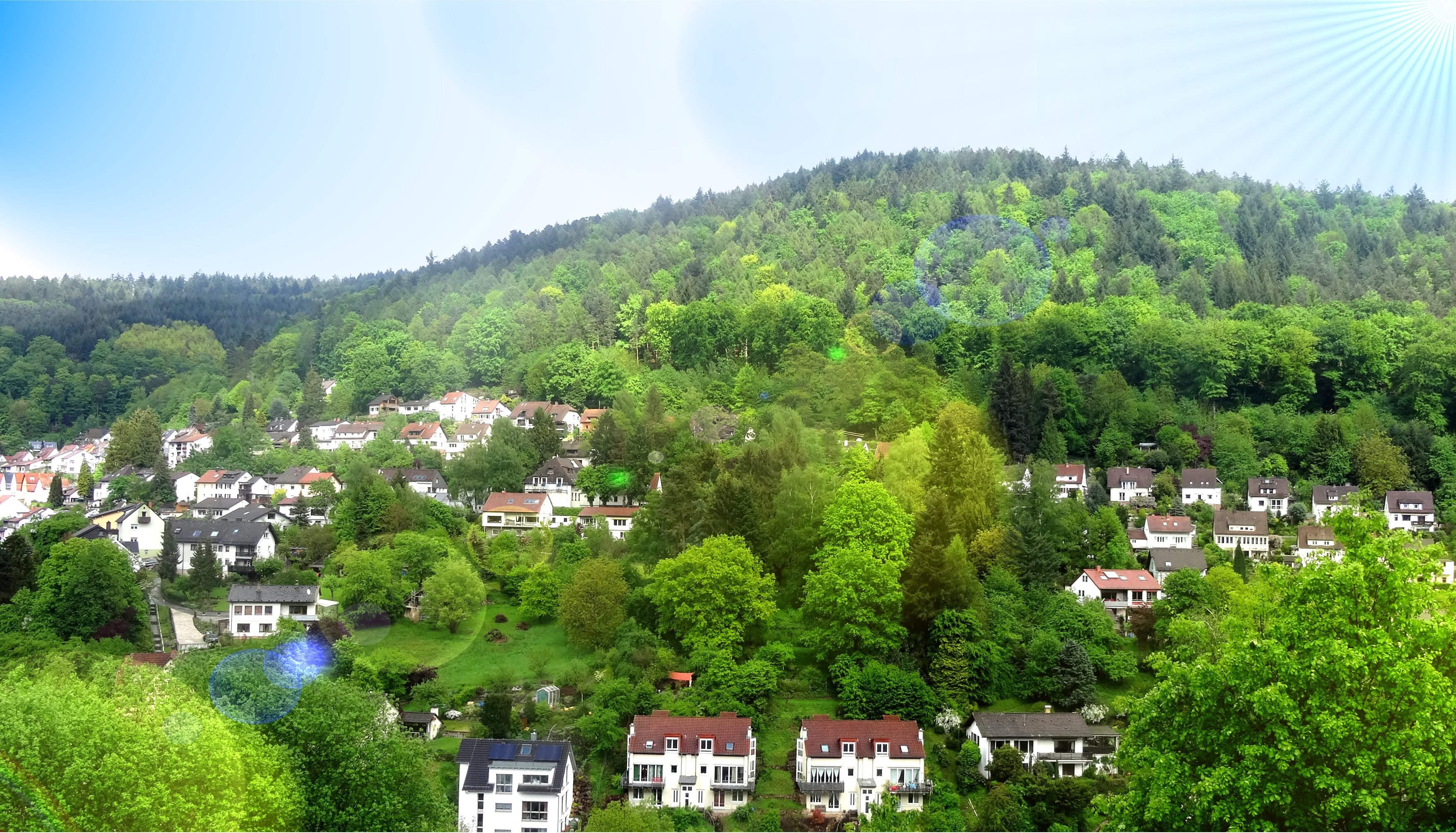 Land-/Forstwirtschaft zum Kauf 29.000 € 3.199 m²<br/>Grundstück Wilhelmsfeld 69259