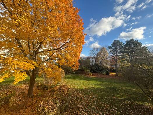 Wohnung zur Miete 800 € 2 Zimmer 50,5 m² Geschoss 1/5 frei ab 01.02.2026 Laatzen-Mitte Laatzen 30880