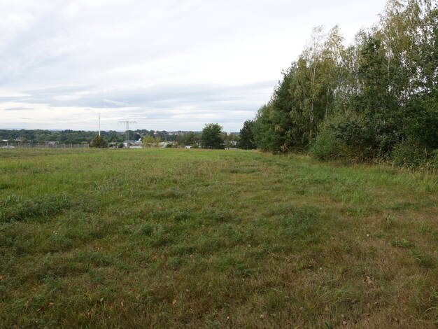 Gewerbepark zum Kauf 549.000 € 11.812 m² Grundstück Großröhrsdorf 01900