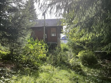 Freizeitgrundstück zum Kauf 49.000 € 1.786 m² Grundstück frei ab sofort Mulda Mulda 09619