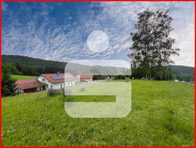 Grundstück zum Kauf 149.000 € 2.275 m² Grundstück Eggenreuth Thurmansbang 94169