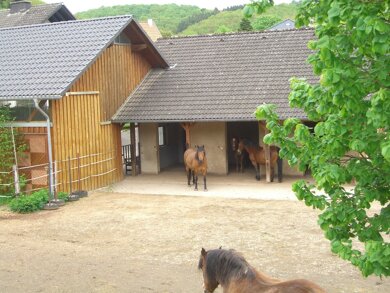 Einfamilienhaus zum Kauf 560.000 € 249,3 m² 2.800 m² Grundstück Nimshuscheidermühle Nimshuscheid 54612