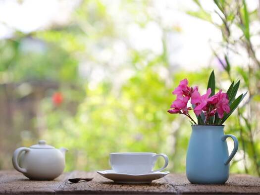 Wohnung zum Kauf - Neubau provisionsfrei 464.000 € 3 Zimmer 78 m² EG St.-Ulrich Straße 26 Bad Krozingen 79189