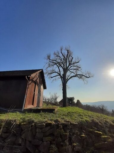 Freizeitgrundstück zum Kauf 115.000 € 2.025 m² Grundstück Obertürkheim Stuttgart 70329