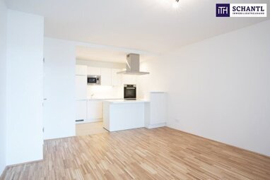 Wohnung zur Miete 848,66 € 2 Zimmer 51,8 m² 6. Geschoss Pius-Parsch-Platz Wien 1210