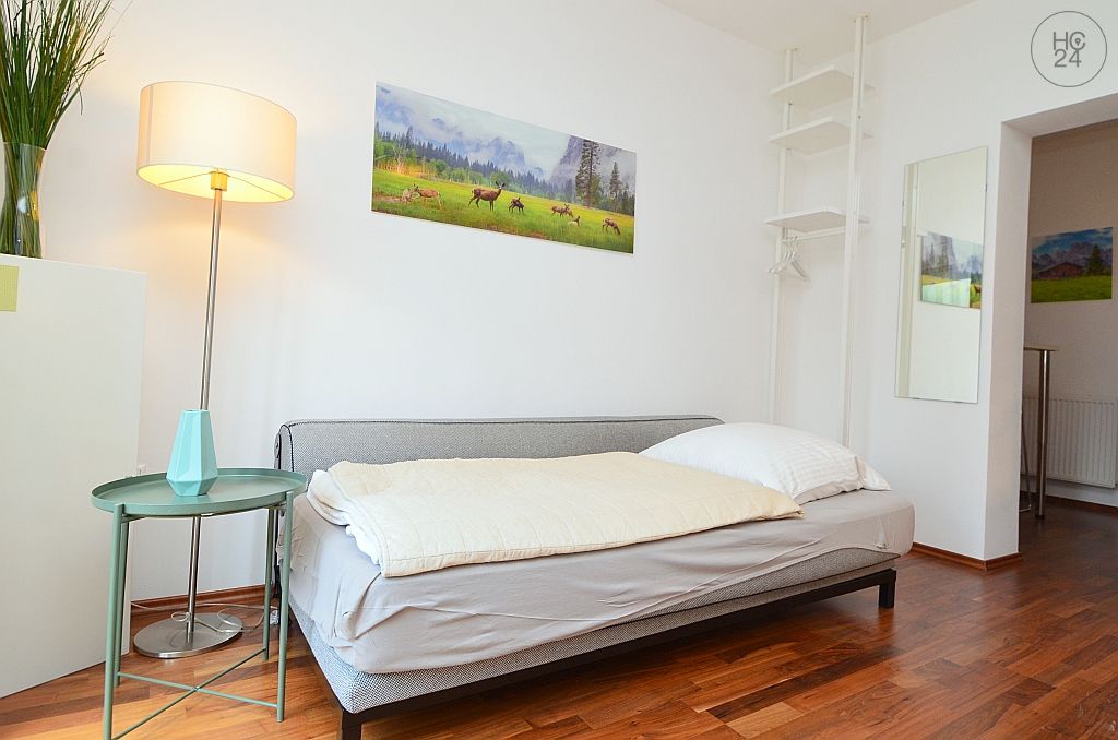 Wohnung zur Miete Wohnen auf Zeit 890 € 1,5 Zimmer 25 m² frei ab 01.06.2024 Riederbergstraße Wiesbaden 65195